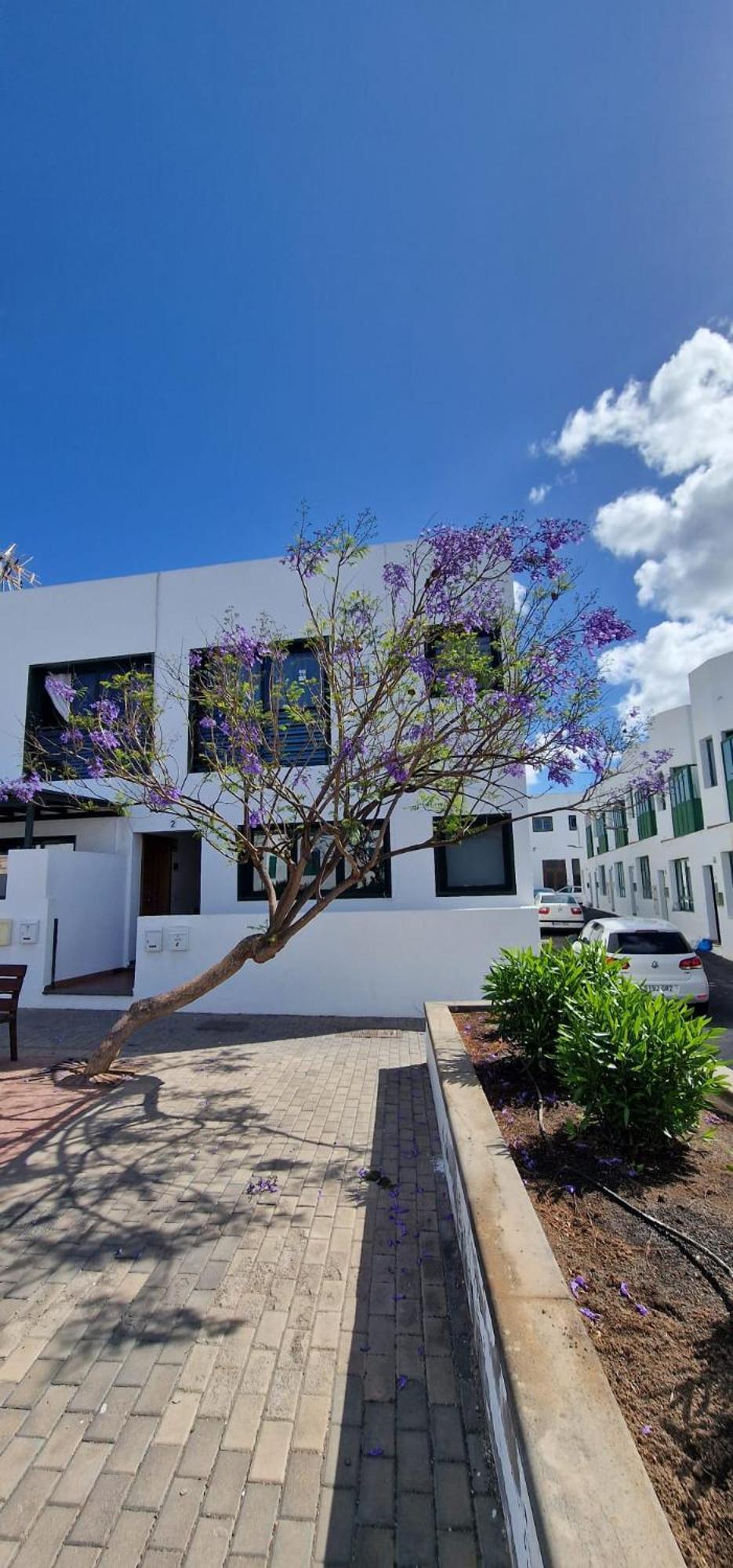Apartamento Margarita Playa Blanca  Exterior photo